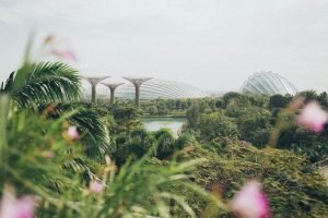 Singapore Tourist Guide